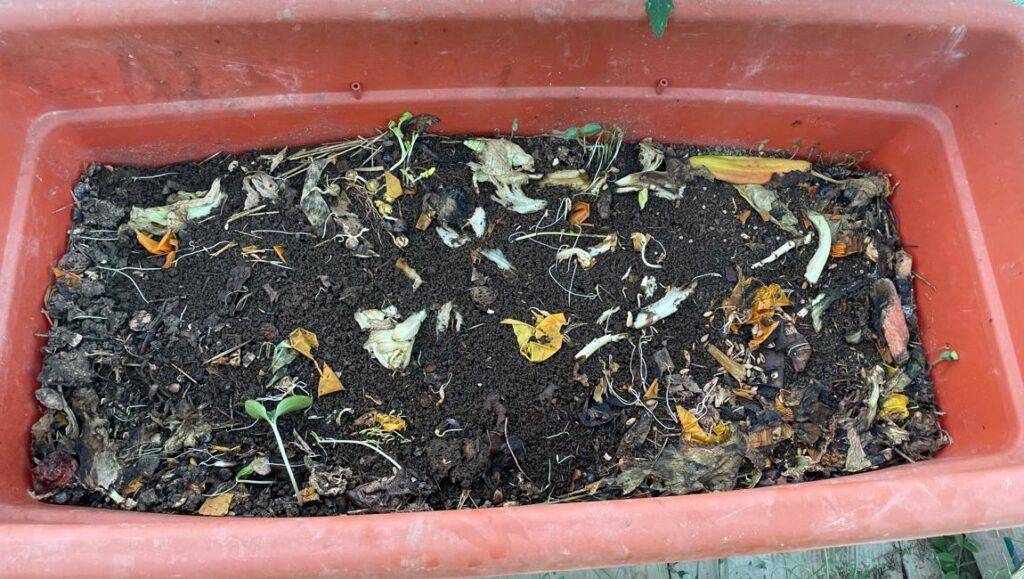 Wormfarm