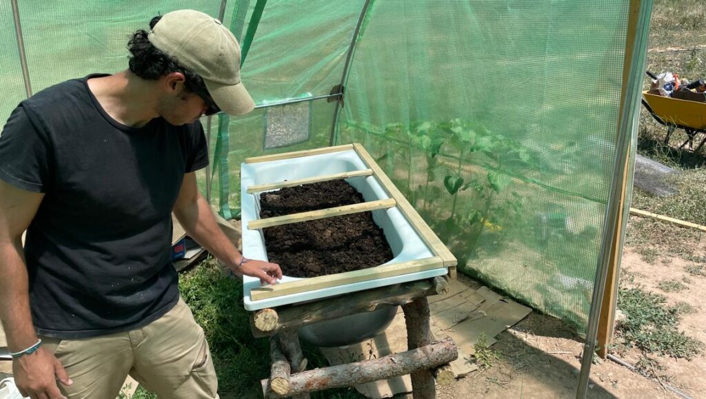 Wormfarm