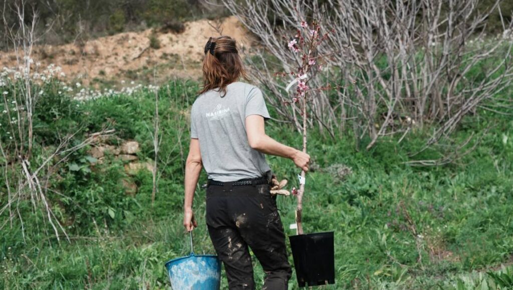 Anna carrying trees