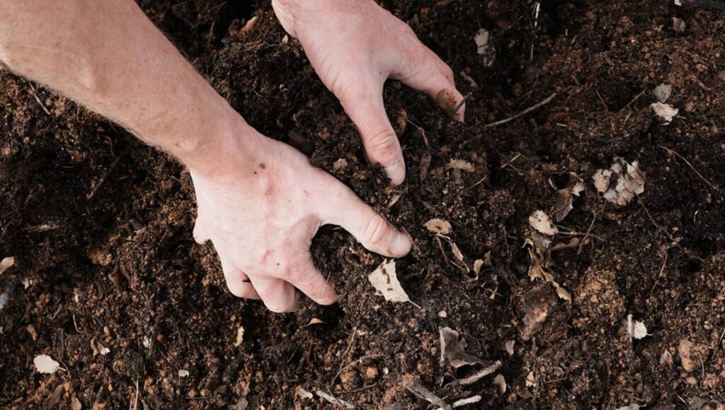 Adding compost