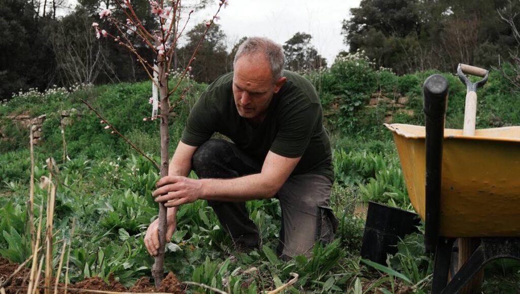 Marcel planting a tree